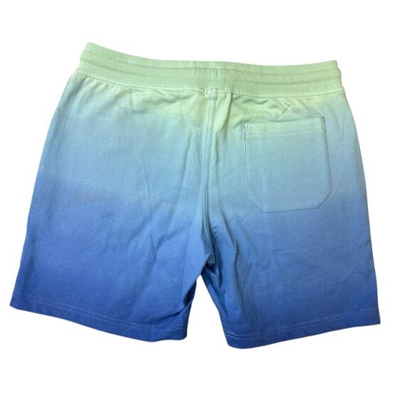 Chubbies The Schwort Sweat Shorts 7" Inseam Men's sz M French Terry Pockets NWT - Picture 2 of 11